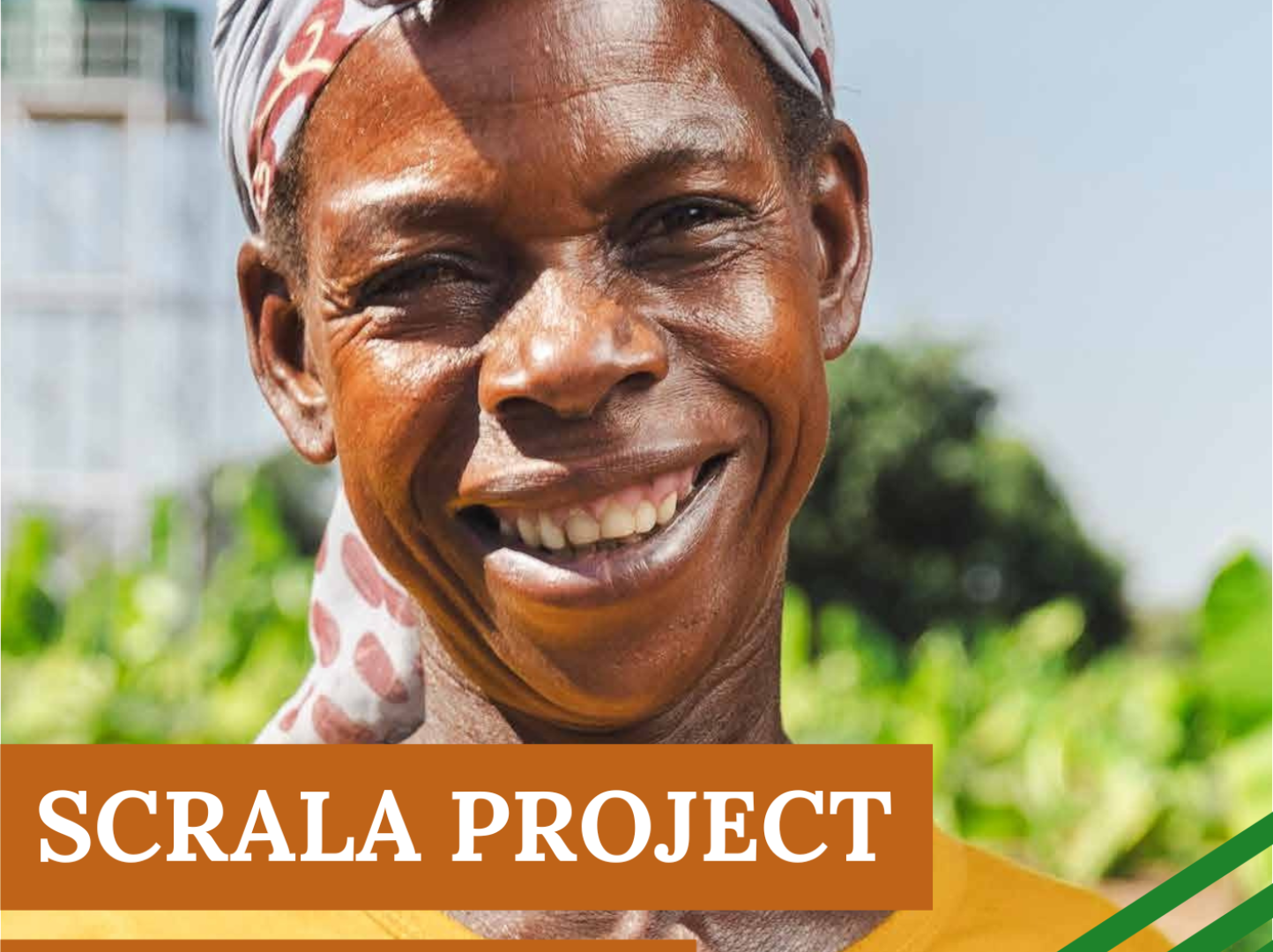 Scrala project