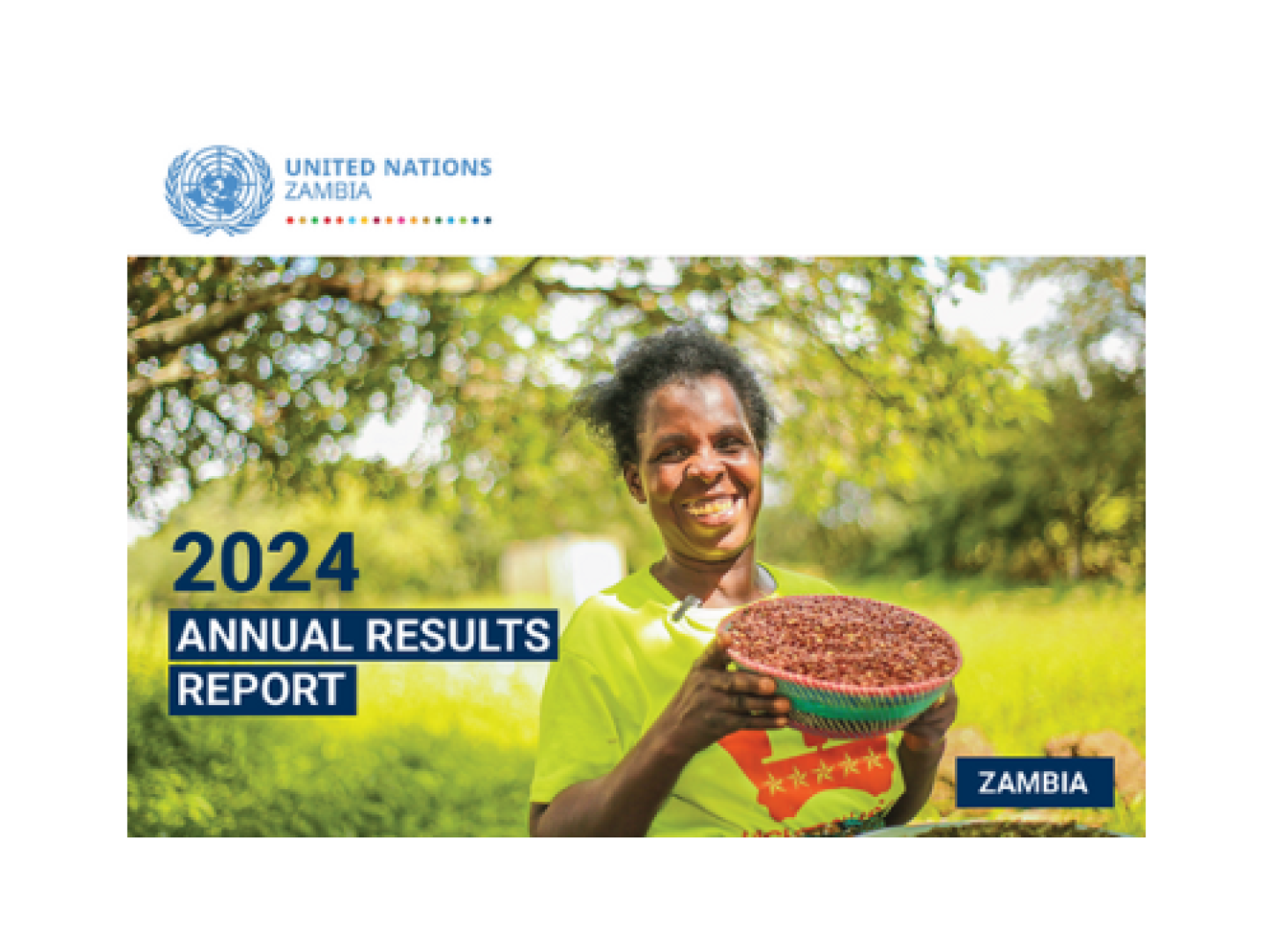 UN Zambia 2024 ARR