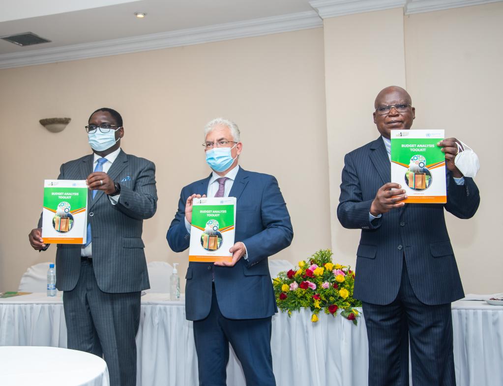 SDG joint fund