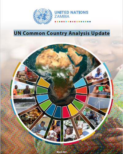 UN Common Country Analysis