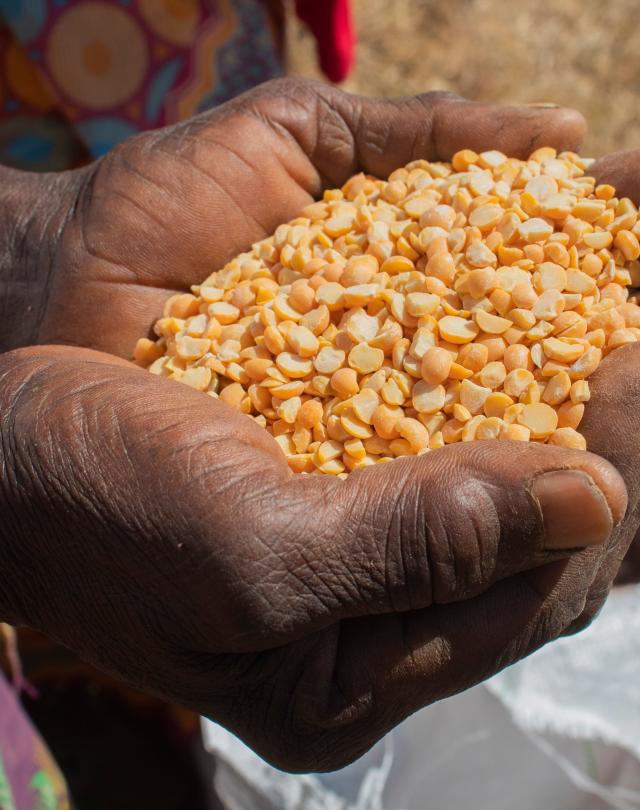 wfp photo