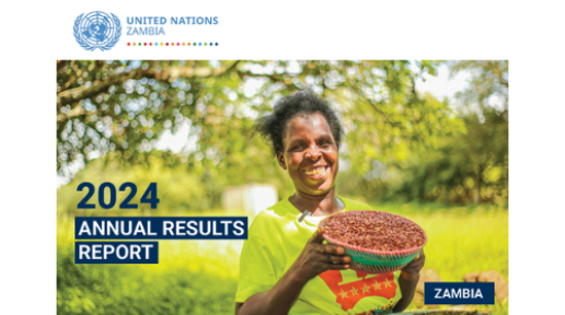 UN Zambia 2024 ARR